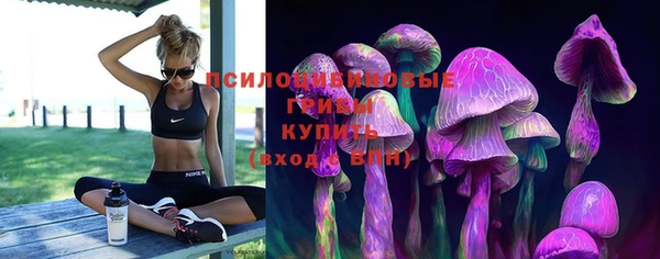 дурь Алзамай